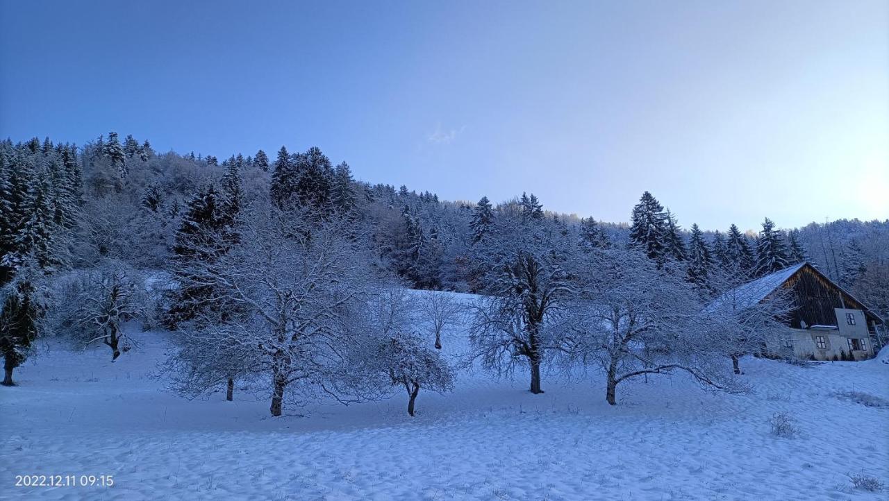 Gite Coeur De Haute-Savoie Viuz-en-Sallaz Экстерьер фото