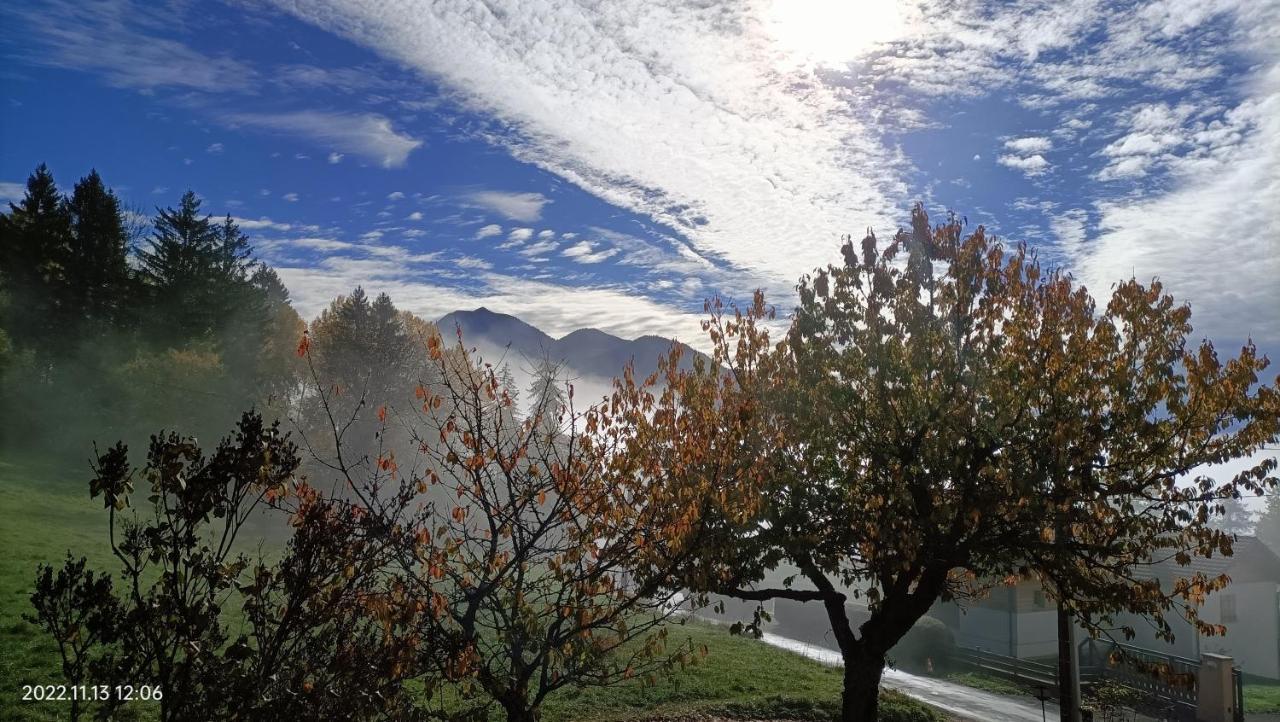 Gite Coeur De Haute-Savoie Viuz-en-Sallaz Экстерьер фото