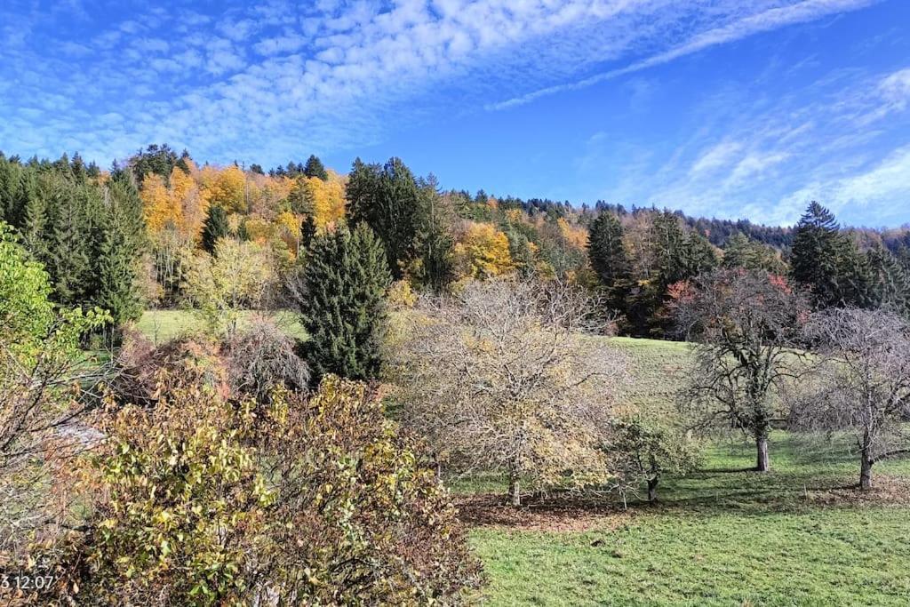 Gite Coeur De Haute-Savoie Viuz-en-Sallaz Экстерьер фото